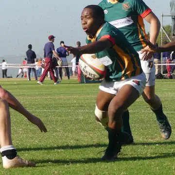 Westville u17 wins Glenwood Sevens, Northwood the u15 champs