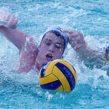 DHS fight back but Westville water polo wins