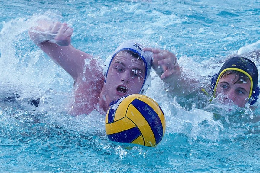 DHS fight back but Westville water polo wins