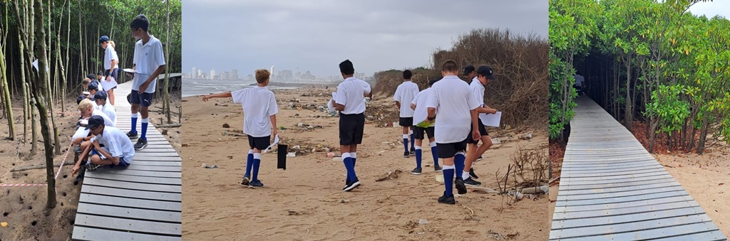 While the mangroves appeared relatively unharmed by man, sadly, in the case of beaches, litter was all too common a sight.