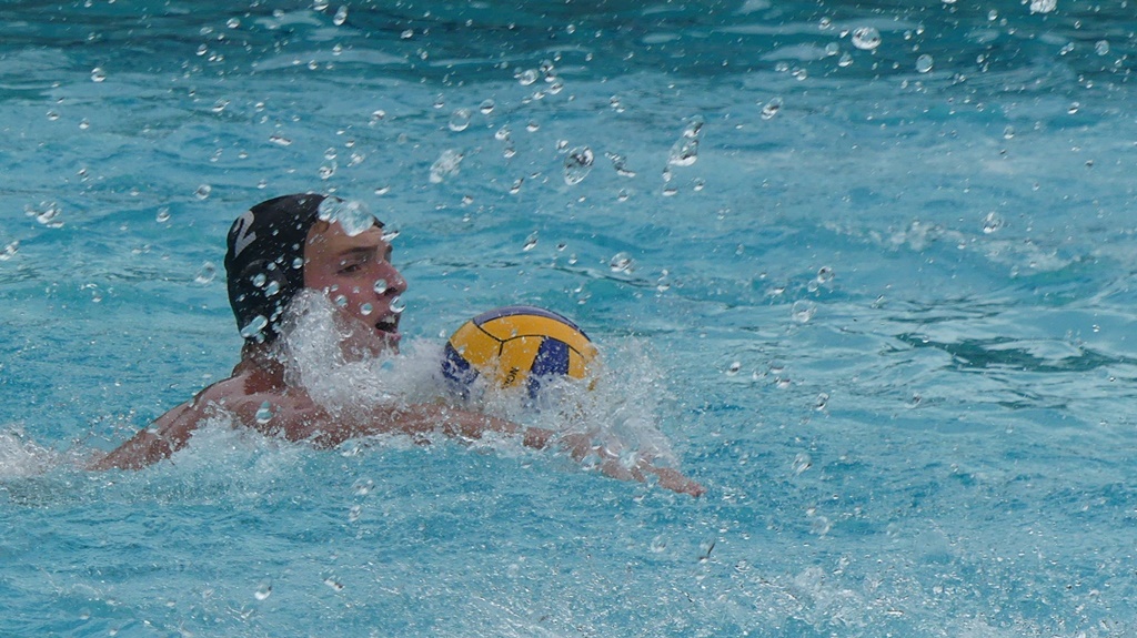 Competition in the pool was intense and of a very high standard. (Photo: Brad Morgan)