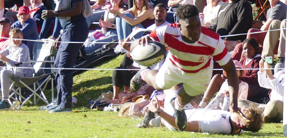 100 up for Michaelhouse, report, YT highlights, rugby results