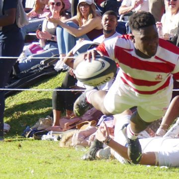 100 up for Michaelhouse, report, YT highlights, rugby results