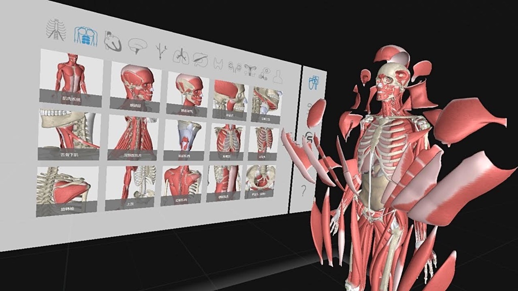 Exploring anatomy with the Vive Pro 2 Headset is fascinating and fun,