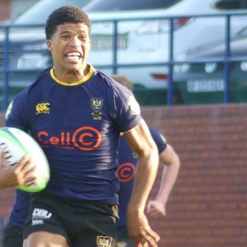 Sharks go down to Craven Week favourites