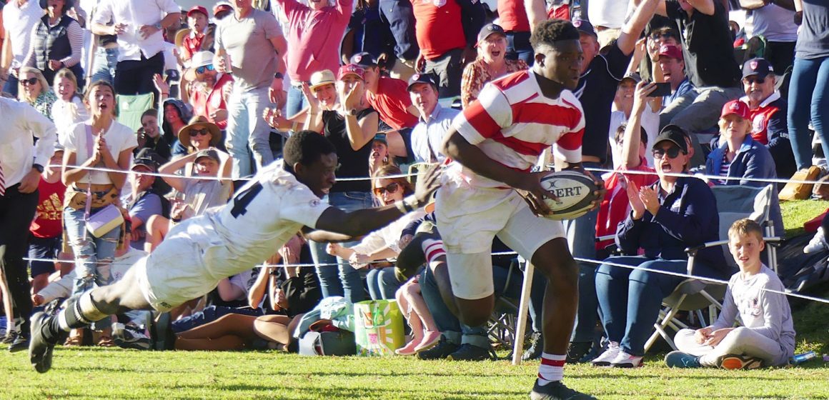 Michaelhouse 1st XV: Best tries of 2023, part 1