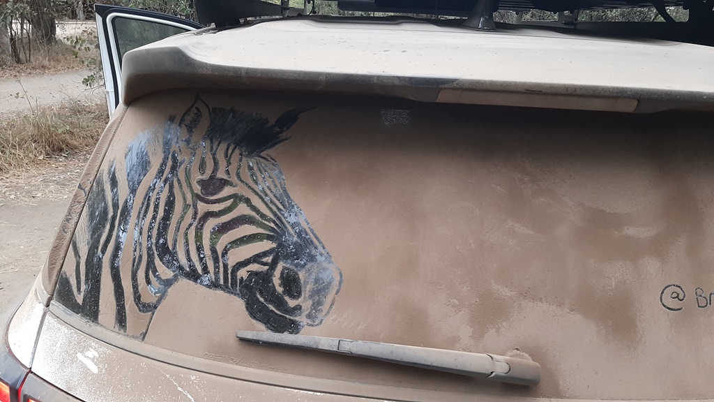 This drawing of a zebra 