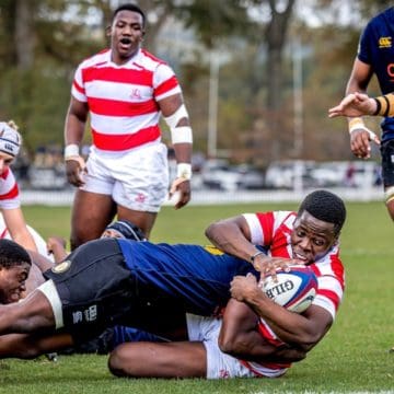 Michaelhouse u12 Sevens Festival set to warm up a cool weekend