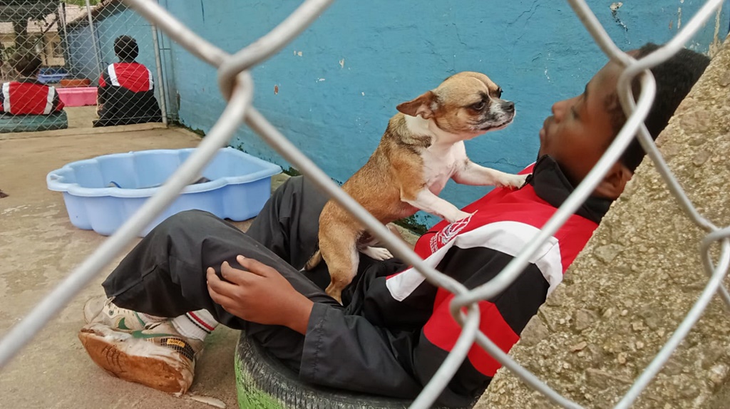 Spreading the love around, College boys visited the SPCA where they were happily welcomed by the resident dogs and cats.